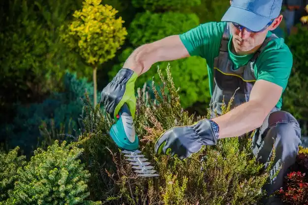 landscaping services Marionville